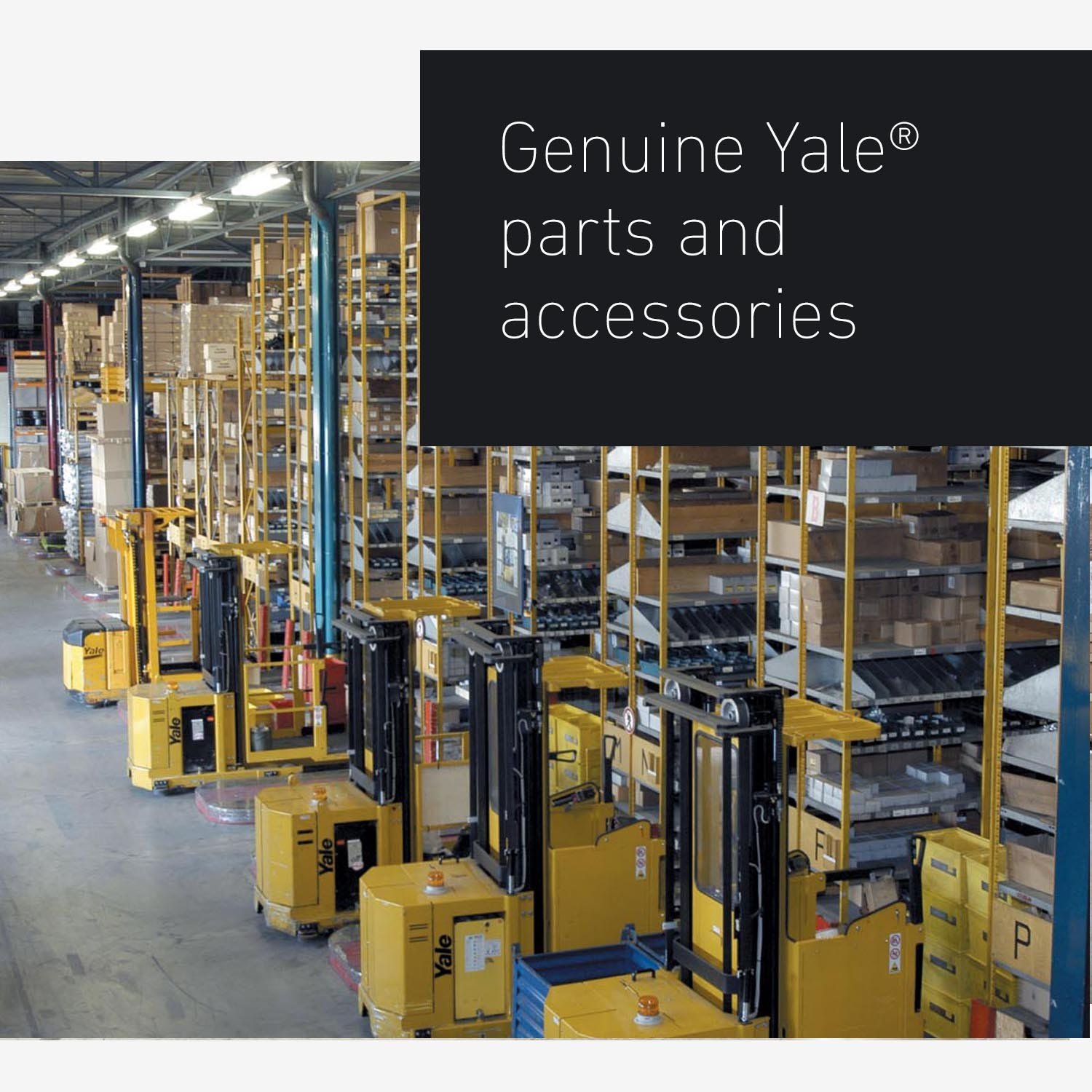 Photograph: Yale Feb Post 15